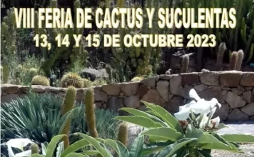 Casarabonela vuelve a convertirse en cita obligada para los amantes de los cactus y suculentas