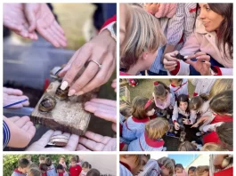 Maestro caracol