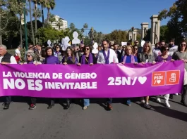 Pérez alza la voz ante una derecha que está haciendo que cale el negacionismo en las instituciones ante la violencia machista 2522023 - DANIEL PEREZ EN CONCENTRACION 25N_11_25_2023
