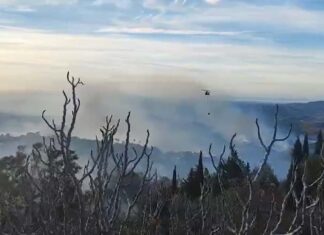 La Junta activa el Nivel 1 del Plan Infoca por un incendio forestal en Mijas
