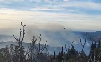 La Junta activa el Nivel 1 del Plan Infoca por un incendio forestal en Mijas