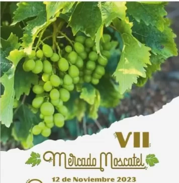 Almáchar celebra su VII Mercado Moscatel para poner en valor la uva pasa de la Axarquía