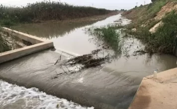 El glifosato llega al Mar Menor