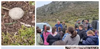 La Diputación colabora con la Junta de Andalucía y CIFAL Málaga para repoblar los pinsapos de Sierra Bermeja y Sierra de las Nieves con bombas de semillas