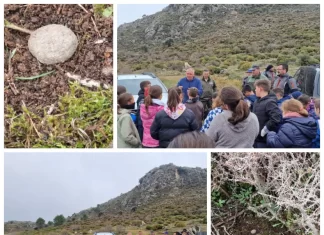 La Diputación colabora con la Junta de Andalucía y CIFAL Málaga para repoblar los pinsapos de Sierra Bermeja y Sierra de las Nieves con bombas de semillas