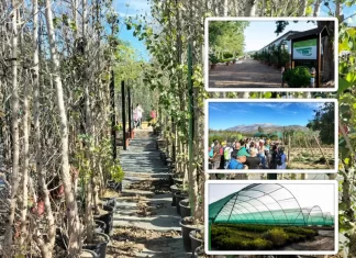El Vivero de la Diputación suministra más de 23.000 árboles y plantas para proyectos ambientales