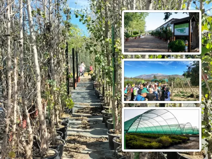 El Vivero de la Diputación suministra más de 23.000 árboles y plantas para proyectos ambientales