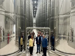 Abierta la convocatoria de ayudas para la agroindustria olivarera por 20 millones de euros