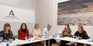 La Delegación de la Junta acoge la comisión provincial de seguimiento contra la violencia de género