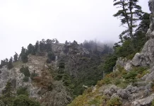 El Parque Nacional Sierra de las Nieves, con 13,2 millones en ejecución, marca una nueva etapa para la Sostenibilidad en la provincia