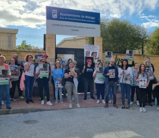 El Ayuntamiento de Málaga guarda silencio ante la petición de reunión de PACMA tras cuatro meses de veto al voluntariado en el CPAM