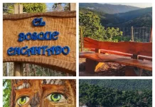 La Diputación financia la ampliación del Bosque Encantado de Parauta, que contará con más figuras de madera