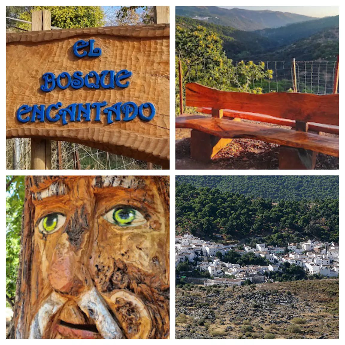 Bosque Encantado de Parauta archivos 103 Málaga