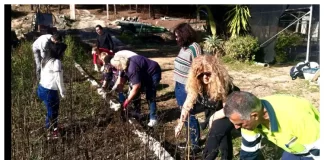 Monda apuesta por la inclusión con un nuevo proyecto de Fundatul para el cultivo de flores comestibles