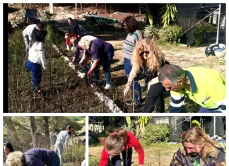 Monda apuesta por la inclusión con un nuevo proyecto de Fundatul para el cultivo de flores comestibles