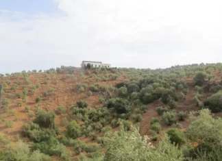 La Junta efectúa el pago de más de 13,6 M€ de las ayudas de desarrollo rural de zonas con limitaciones naturales