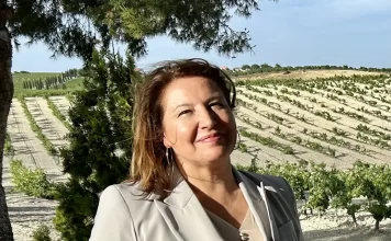 La Junta concede 3,8M€ de ayudas para la reconversión y reestructuración del viñedo