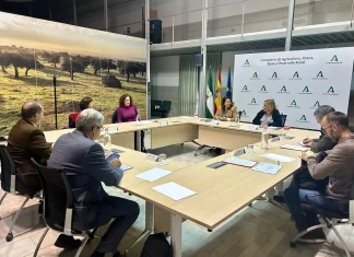 La Consejería junto a CEA, UGT y CCOO mantienen una reunión de trabajo para analizar la evolución del Pacto Social y Económico