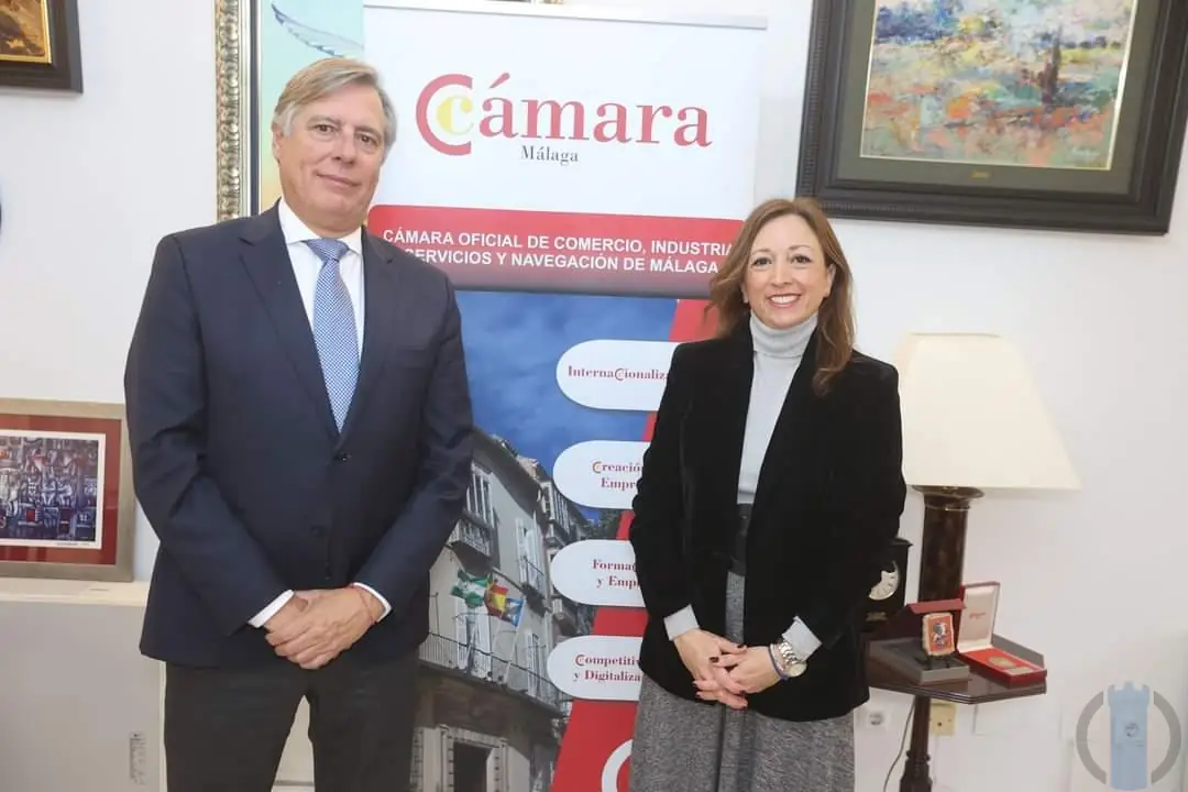 La Junta apuesta por fortalecer el comercio para contribuir a la pujanza y dinamismo de la provincia