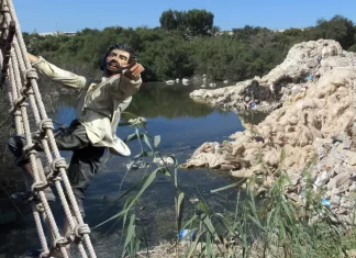 Desde el carajo por Moisés S. Palmero Aranda, Educador ambiental