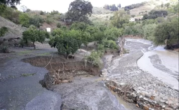 'Dcal': La Herramienta Innovadora para Comunicar Daños en Fincas por Fenómenos Climáticos Adversos