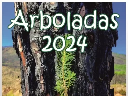 La Diputación de Málaga organiza tres nuevas jornadas de ‘Arboladas’ en Villanueva de Rosario, Manilva y Cártama