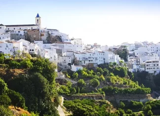La Diputación lidera un proyecto de aprovechamiento de residuos forestales en la Sierra de las Nieves para generar empleo