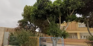 La isla deforestada en el mar de plástico por Moisés S. Palmero Aranda, Educador ambiental