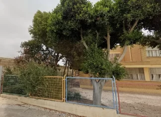 La isla deforestada en el mar de plástico La isla deforestada en el mar de plástico por Moisés S. Palmero Aranda, Educador ambiental