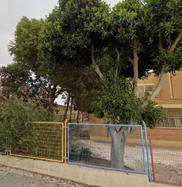 La isla deforestada en el mar de plástico La isla deforestada en el mar de plástico por Moisés S. Palmero Aranda, Educador ambiental