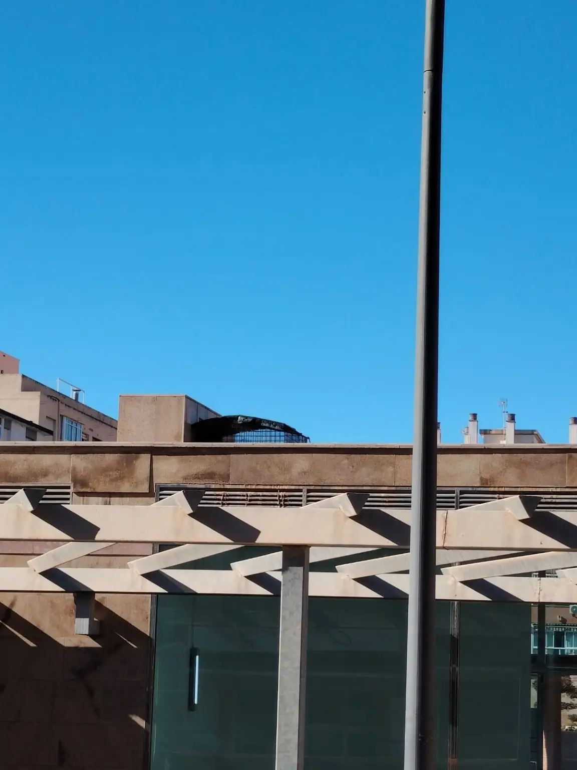 PACMA denuncia la colocación de trampas para cazar palomas en Rincón de la Victoria