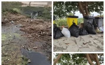 PACMA recoge más de 150kg de basura en la ribera del río de Fuengirola PACMA recoge más de 150kg de basura en la ribera del río de Fuengirola