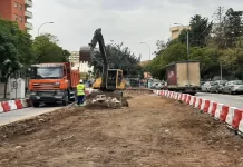 Las obras de Prolongación del Metro de Málaga avanzan con los primeros trasplantes de árboles