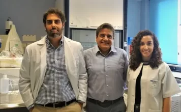 Investigadores de IBIMA encuentran una alternativa oral a las inyecciones de insulina para tratar la diabetes gestacional