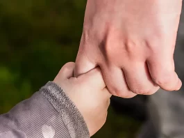 Un total de 178 familias en riesgo de exclusión social recibirán ayudas de la Diputación de Málaga