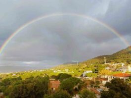 Lluvias en Málaga y Andalucía: Una Llamada de Atención Sobre la Sequía y la Concienciación