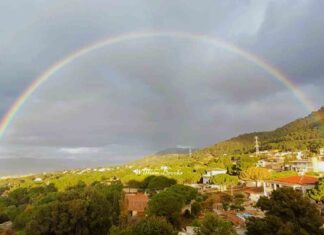 Lluvias en Málaga y Andalucía: Una Llamada de Atención Sobre la Sequía y la Concienciación