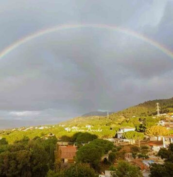 Lluvias en Málaga y Andalucía: Una Llamada de Atención Sobre la Sequía y la Concienciación