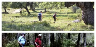 La Diputación licita por 988.000 euros el mantenimiento de senderos de gran recorrido por la provincia que suman 553 kilómetros