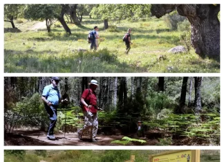 La Diputación licita por 988.000 euros el mantenimiento de senderos de gran recorrido por la provincia que suman 553 kilómetros La Diputación licita por 988.000 euros el mantenimiento de senderos de gran recorrido por la provincia que suman 553 kilómetros