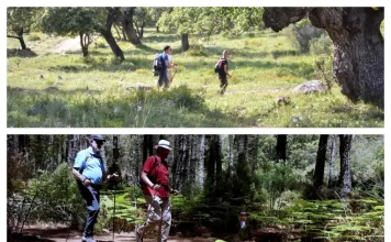 La Diputación licita por 988.000 euros el mantenimiento de senderos de gran recorrido por la provincia que suman 553 kilómetros La Diputación licita por 988.000 euros el mantenimiento de senderos de gran recorrido por la provincia que suman 553 kilómetros