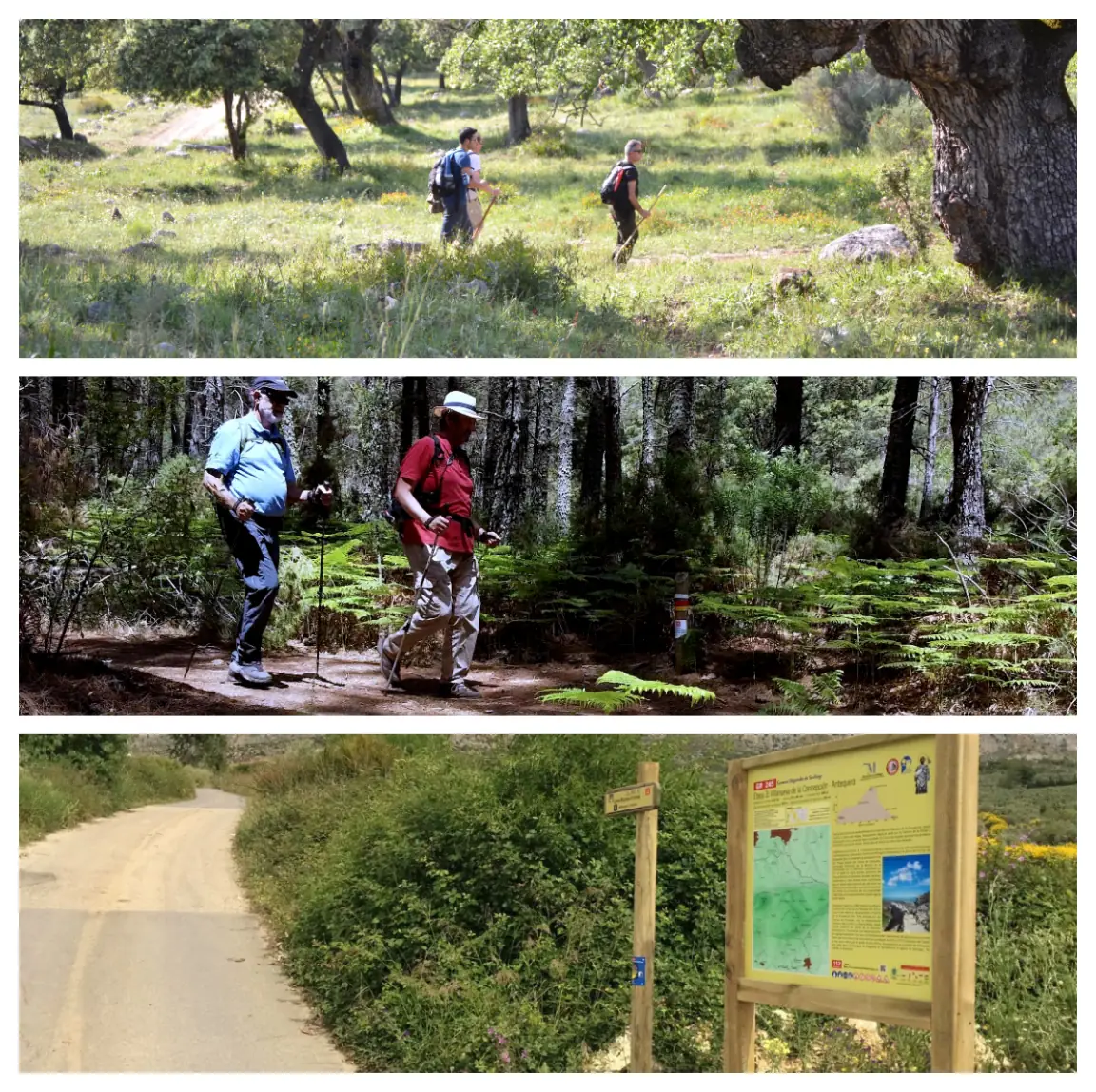 La Diputación licita por 988.000 euros el mantenimiento de senderos de gran recorrido por la provincia que suman 553 kilómetros