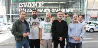 IU apuesta por un ferrocarril público de calidad y de utilidad social que sirva para vertebrar territorio