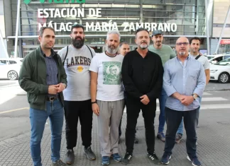 IU apuesta por un ferrocarril público de calidad y de utilidad social que sirva para vertebrar territorio