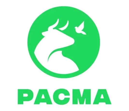 PACMA aborda la gestión de las colonias felinas y el zoosanitario con el Ayuntamiento de Málaga
