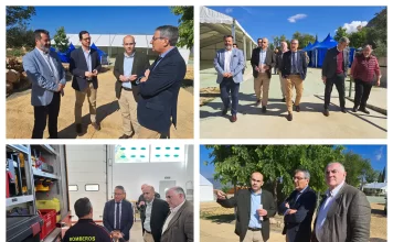 Archidona se prepara para la Feria del Perro que se celebrará el próximo fin de semana