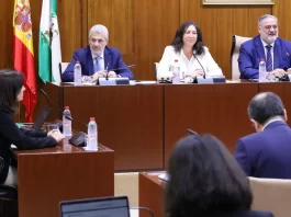El sistema andaluz de dependencia, entre los mejores valorados de todo el país según el Observatorio Estatal