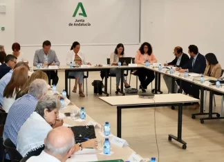 Inclusión Social saca a consulta pública la renovación del decreto del Consejo Andaluz de Personas Mayores tras 29 años