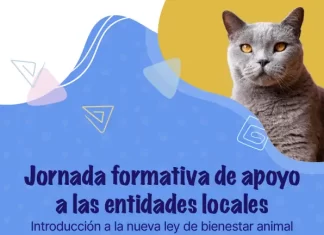 La Diputación celebrará una jornada formativa para entidades locales sobre la nueva ley de bienestar animal