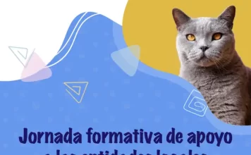 La Diputación celebrará una jornada formativa para entidades locales sobre la nueva ley de bienestar animal